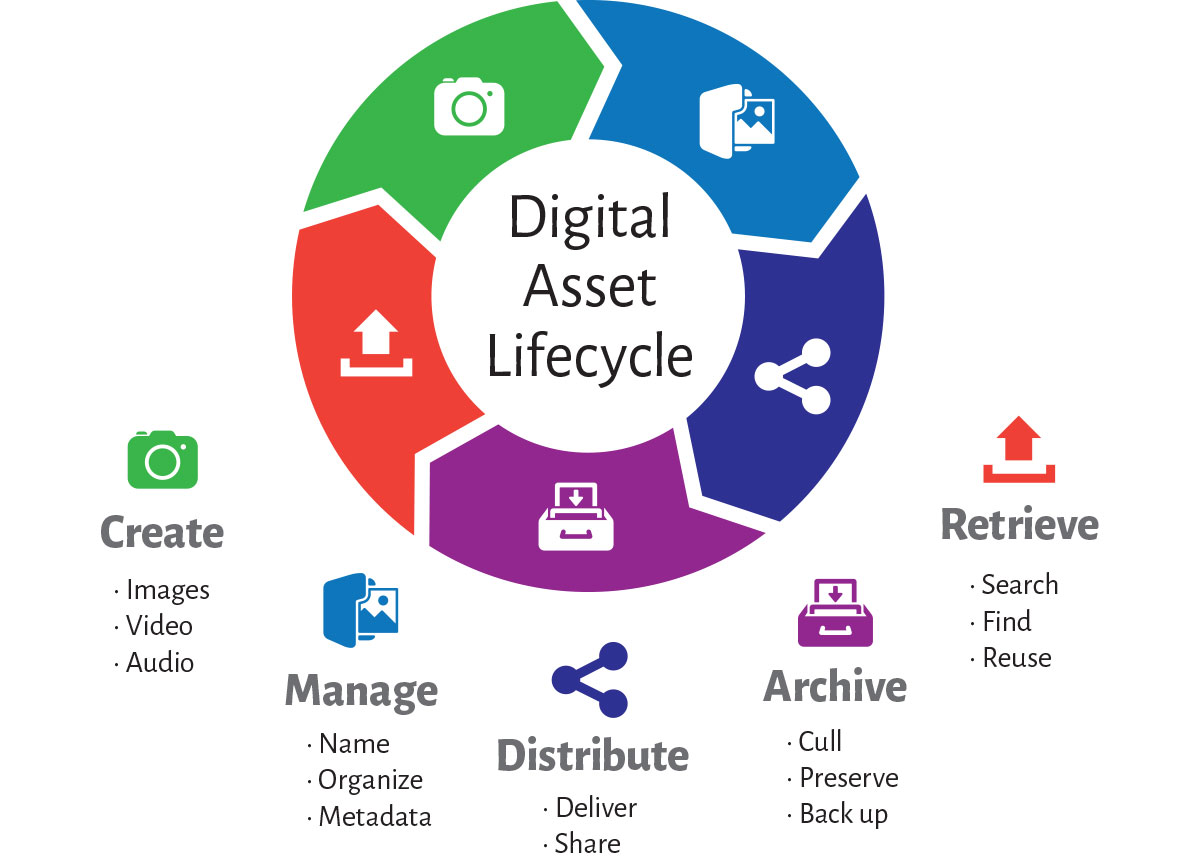 Digital Asset Lifecycle for Photographers